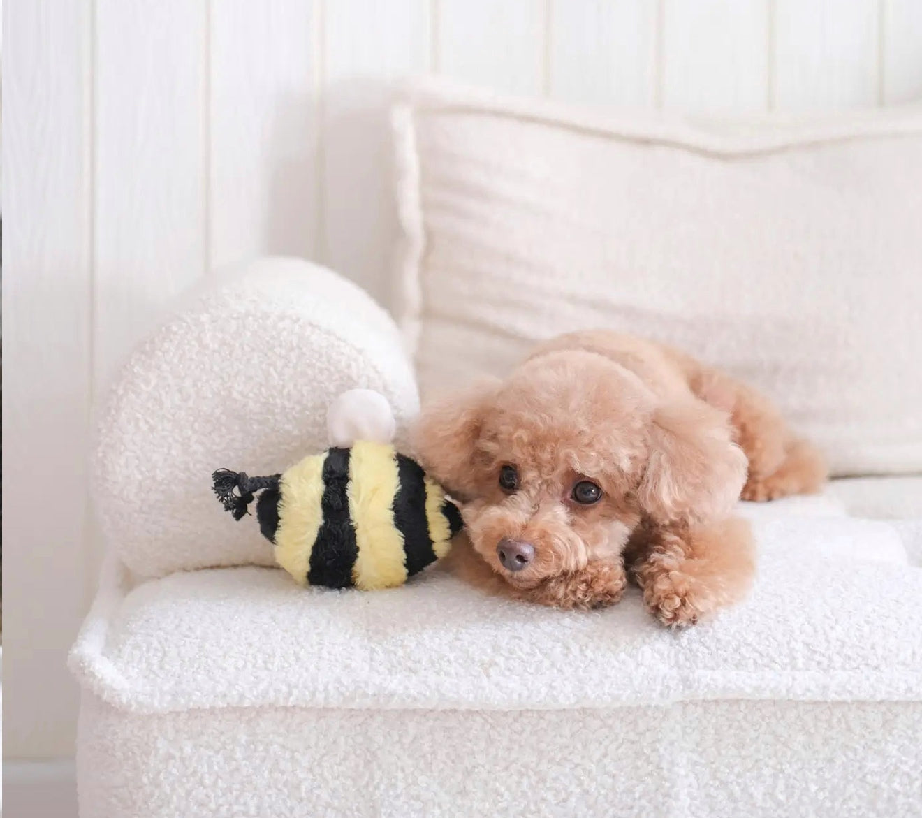 Lambwolf Bee POP