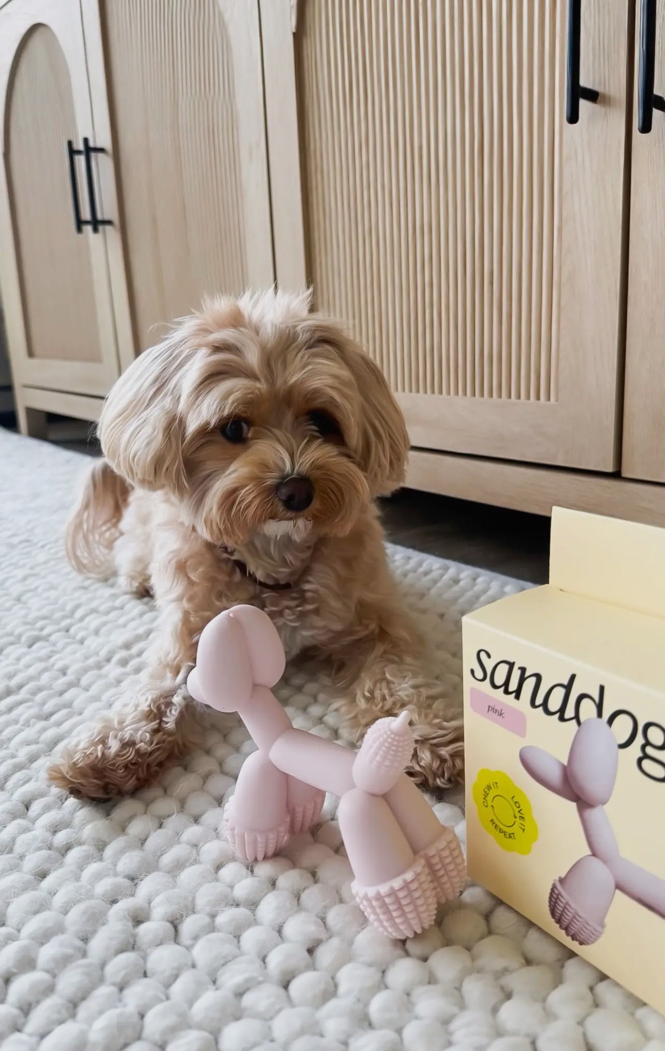 Sanddog Balloon Dog