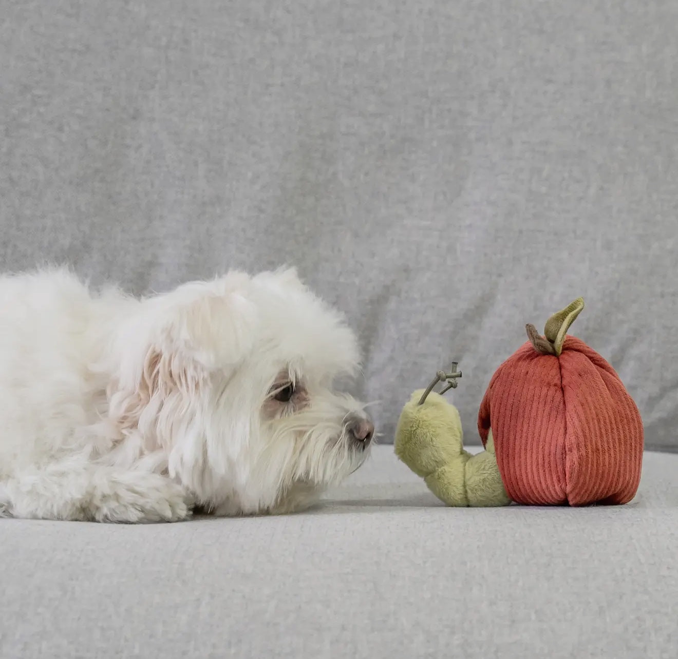 Lambwolf Apple Caterpillar