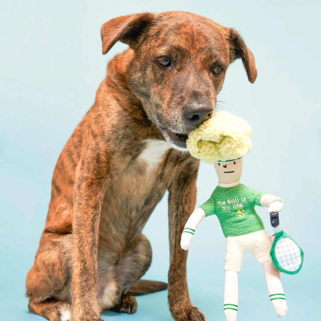 furry folks tennis hooman