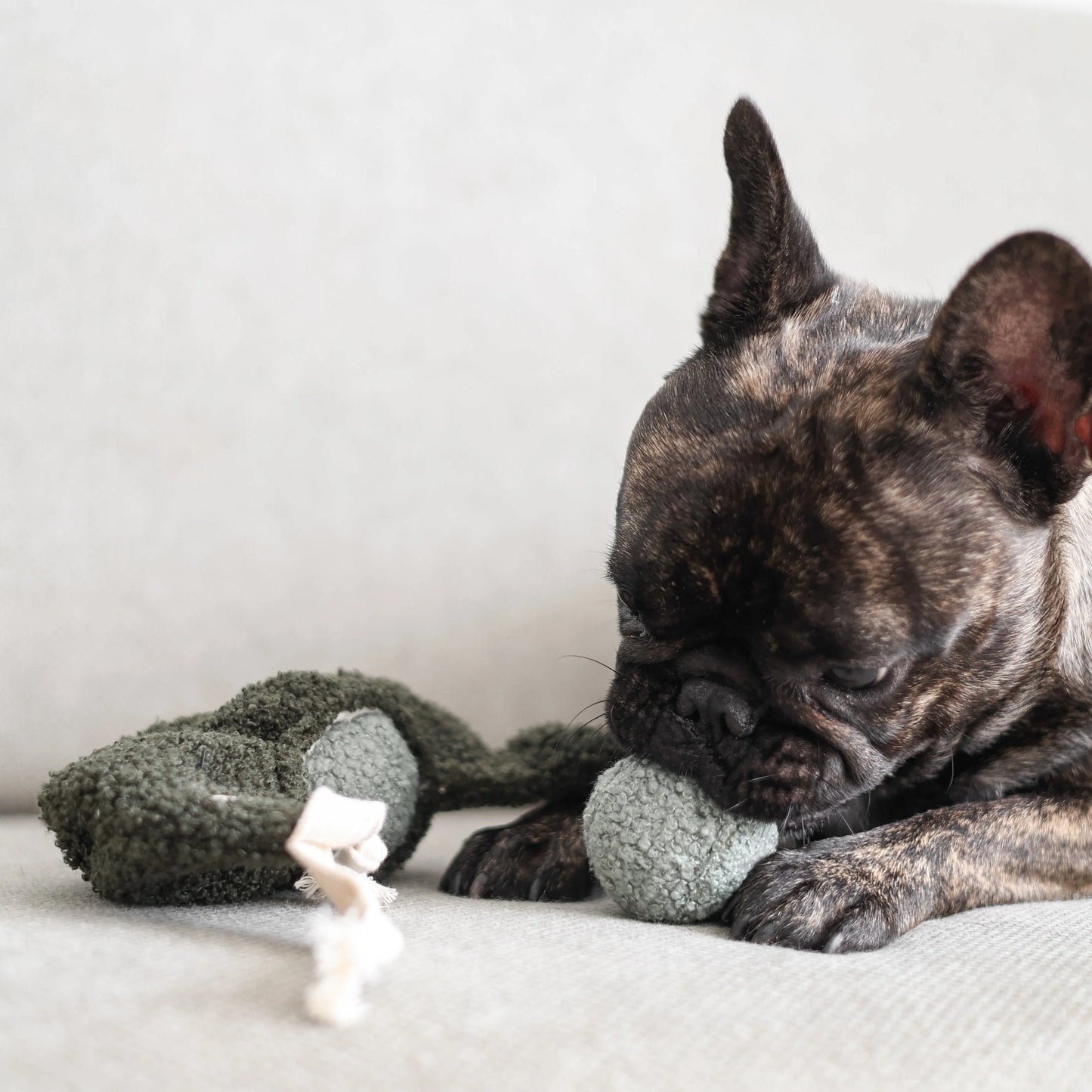 honden intelligentie speelgoed
