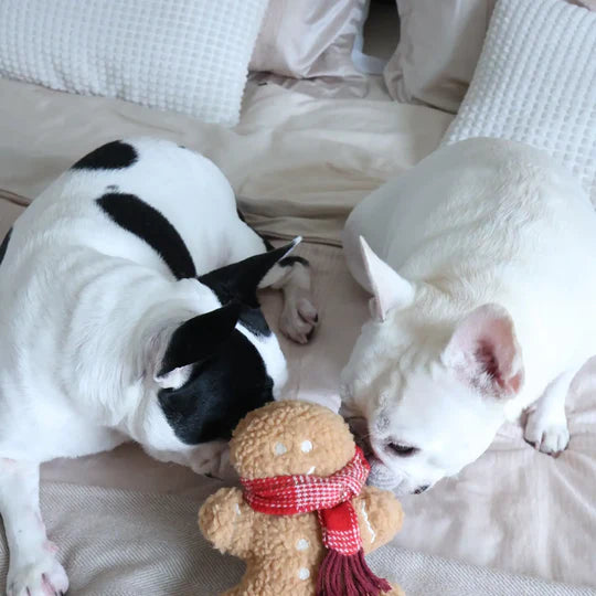 lambwolf collective gingerbread