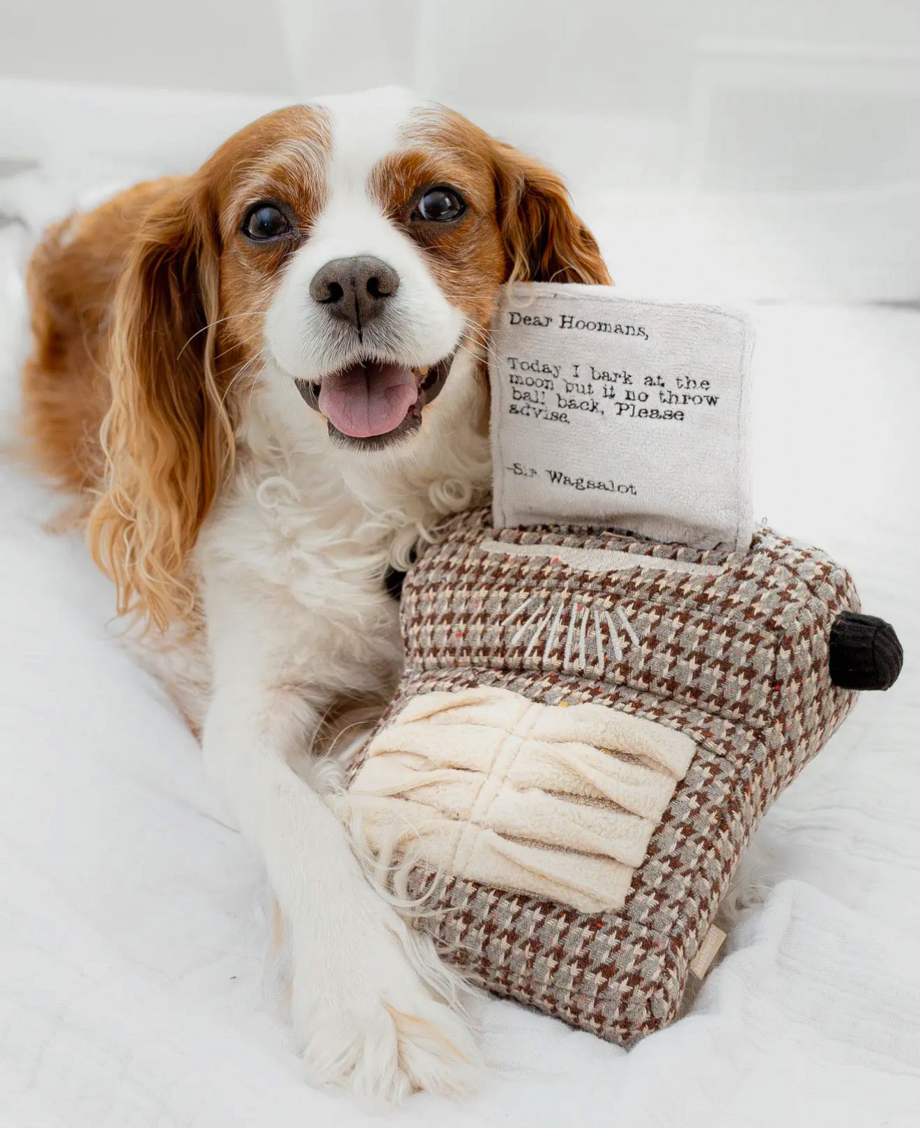 intelligentiespeelgoed honden lambwolf