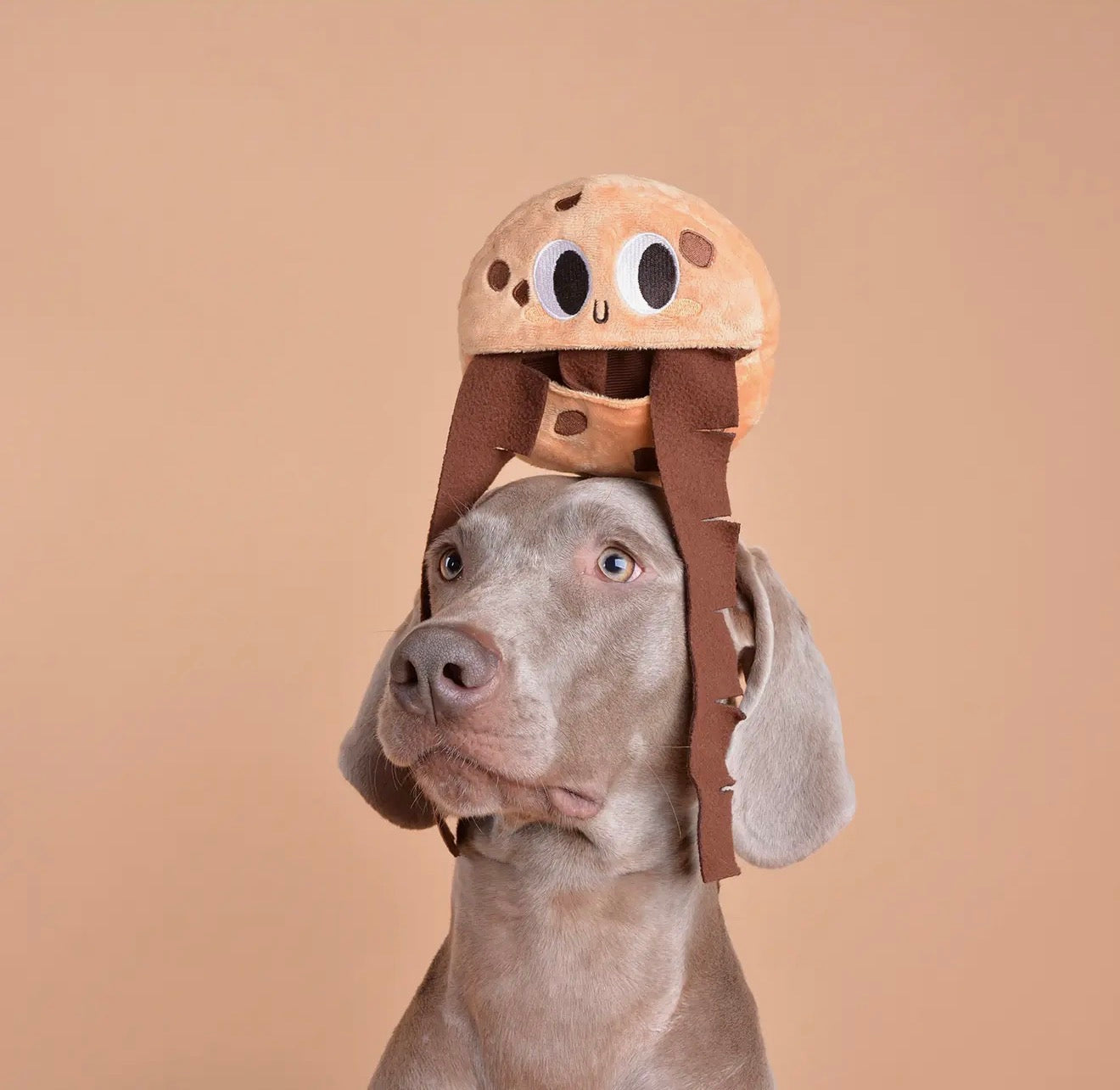 Honden intelligentiespeelgoed