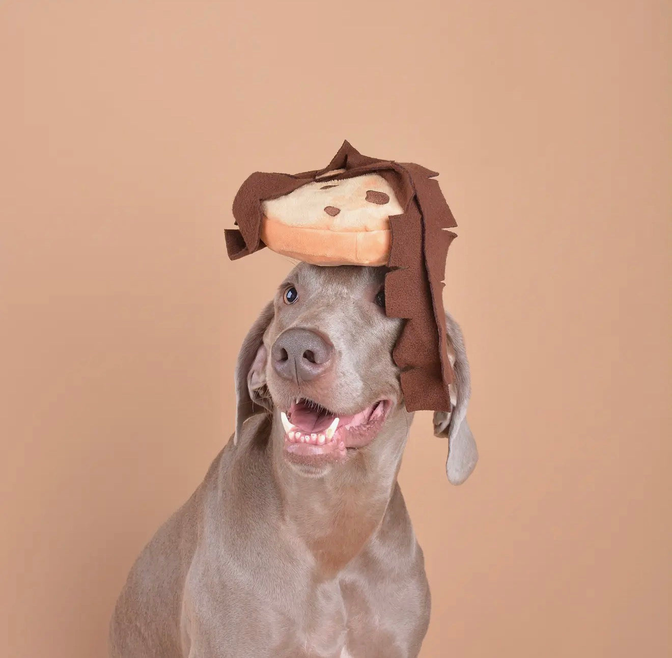 Intelligentiespeelgoed honden