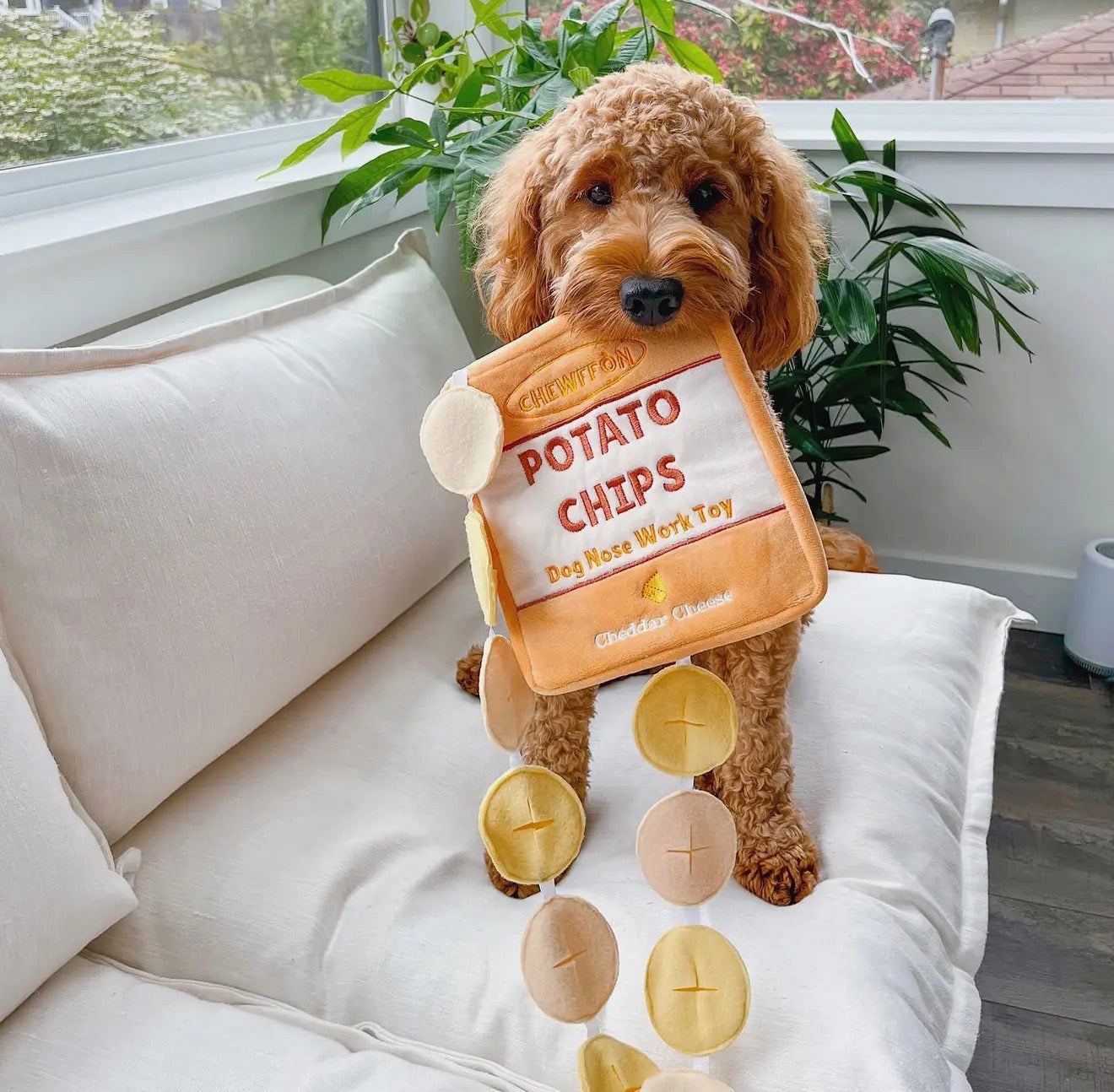 Snuffelspeelgoed hond