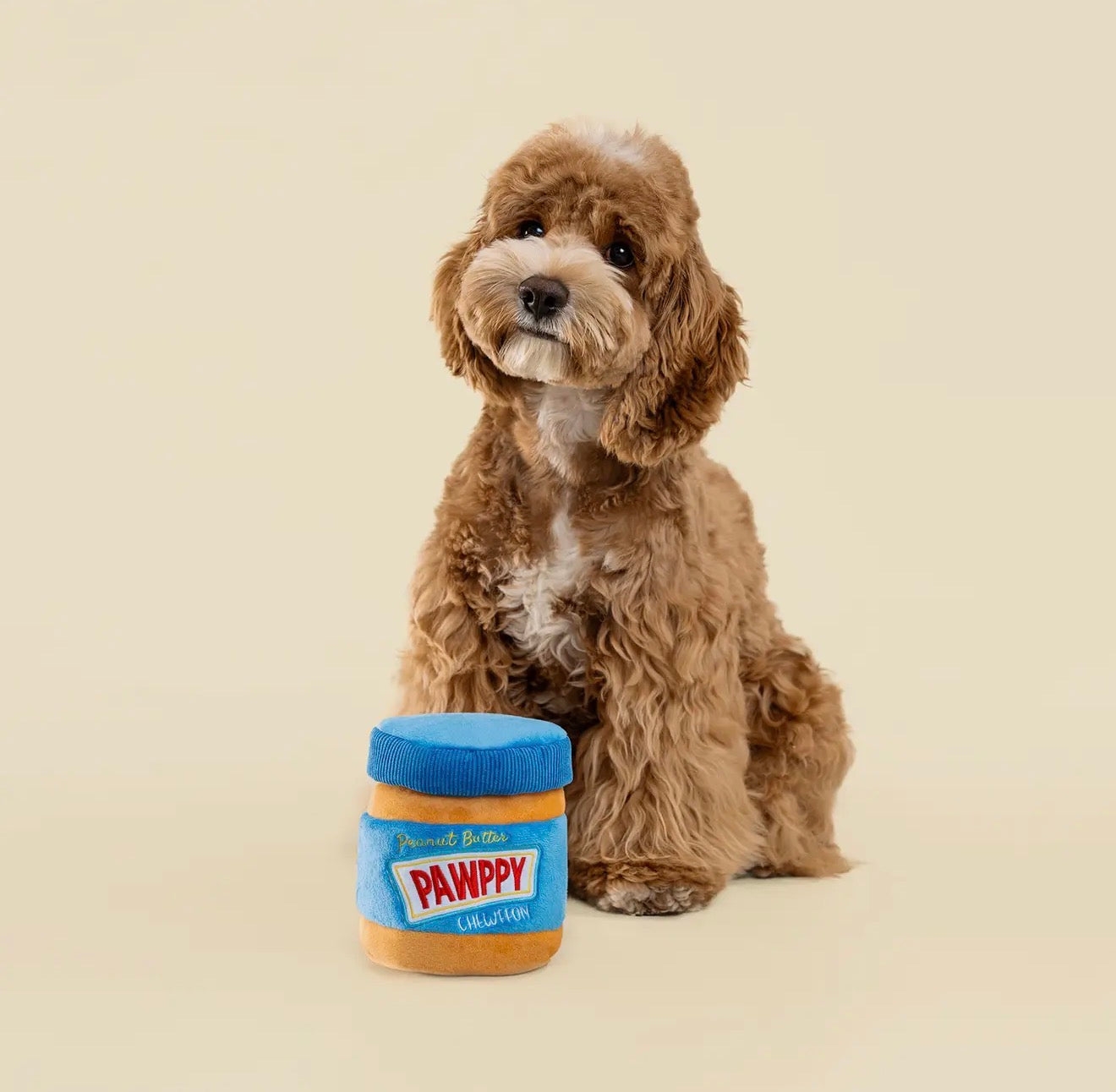 Honden snuffelspeelgoed intelligentie