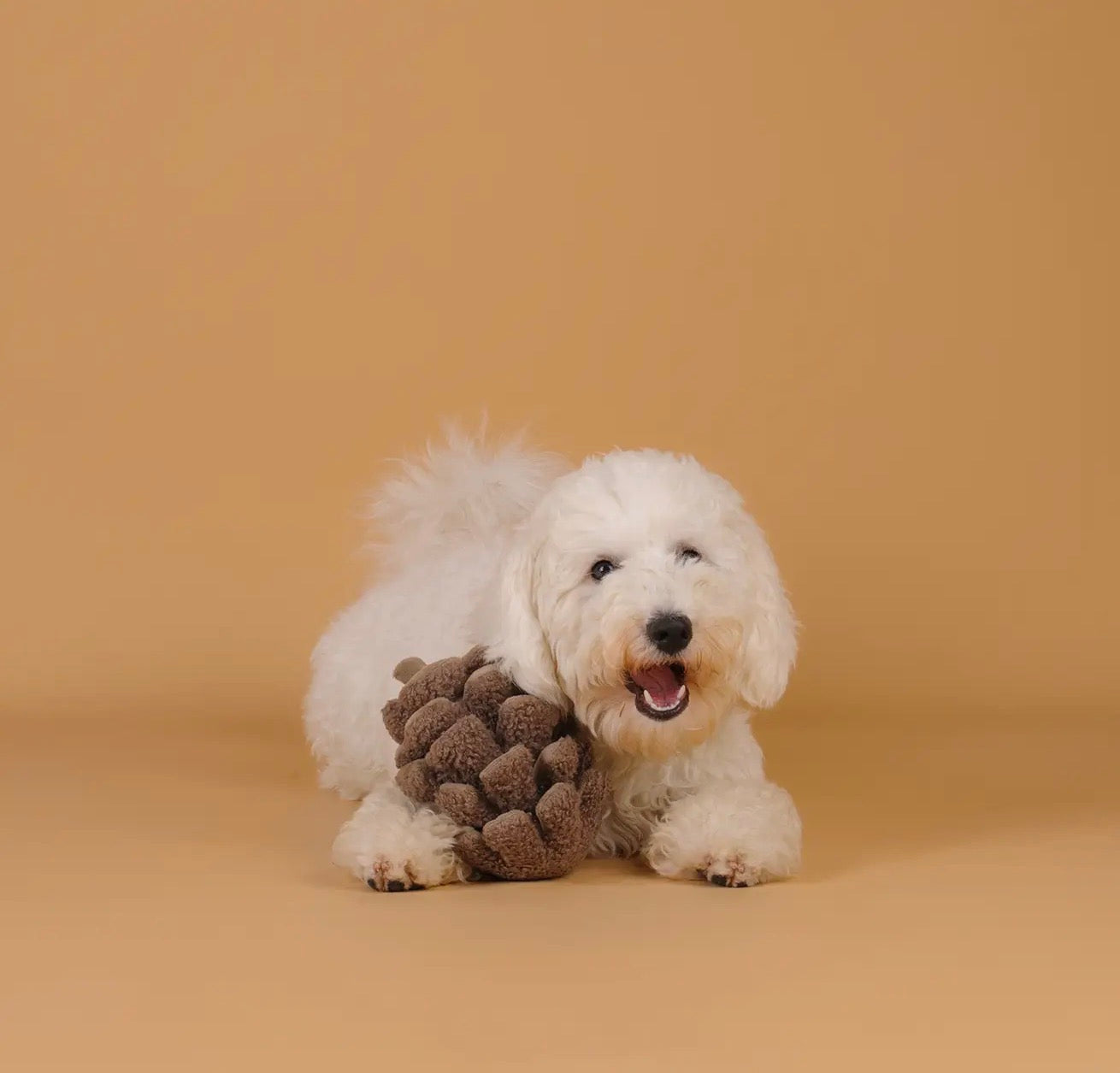 Chewffon dennenappel enrichment