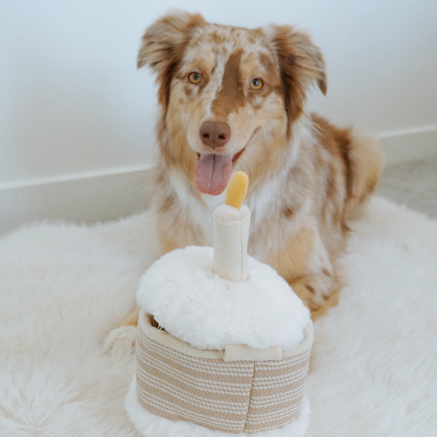 hondenspeelgoed lambwolf neuswerk