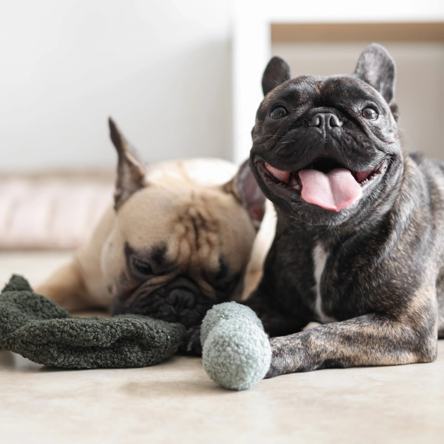 honden intelligentie speelgoed