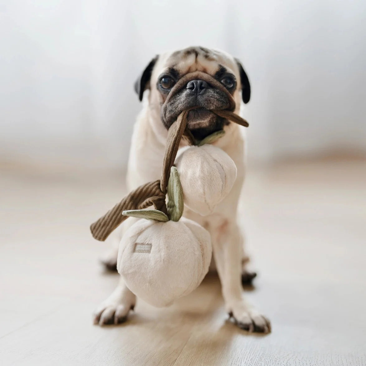 intelligentiespel honden enrichment