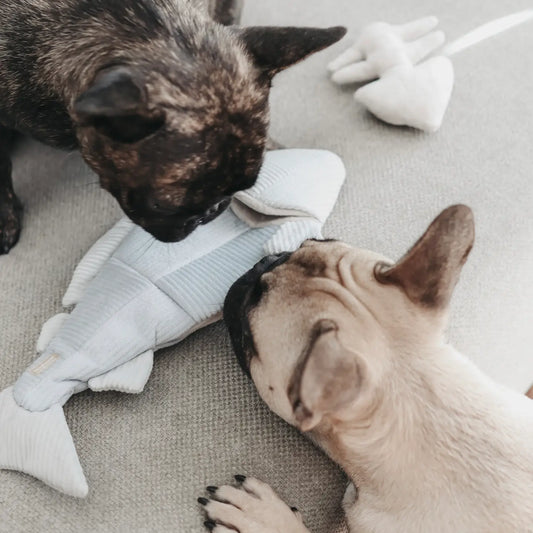 snuffelspeelgoed honden