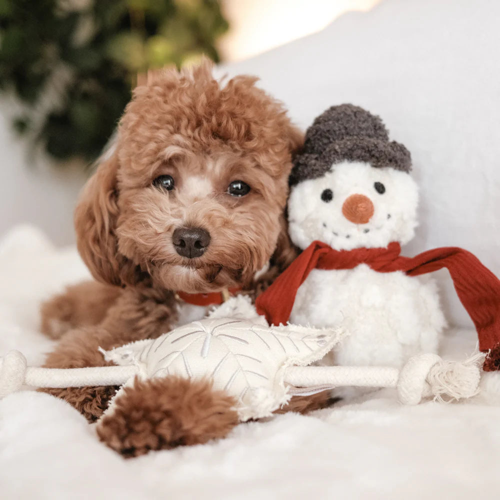 lambwolf kerst speeltjes hond