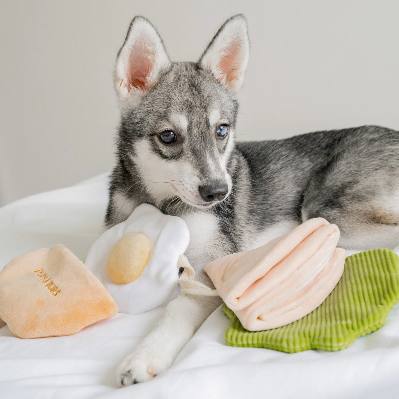 pups & bubs dog toy pita