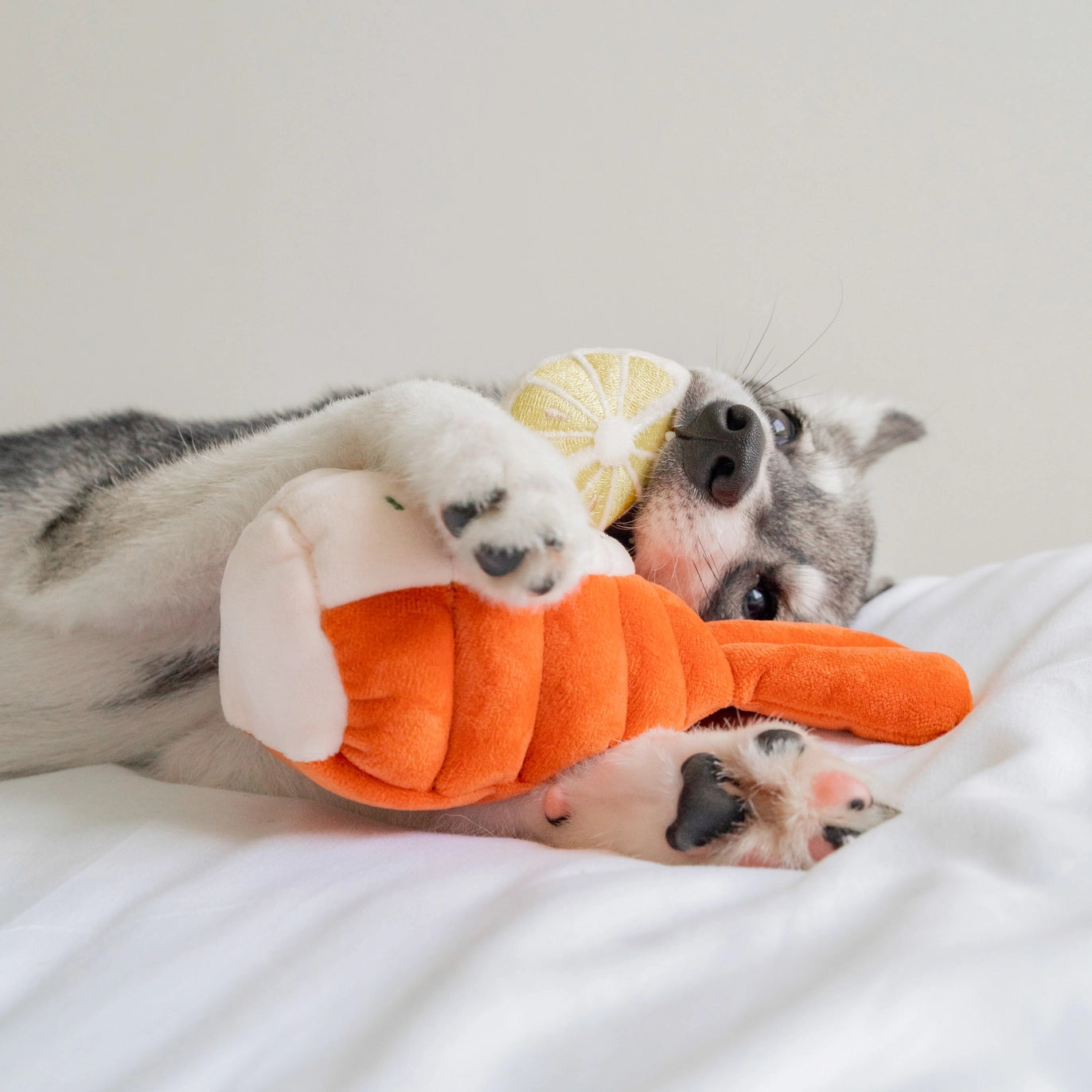 pups & bubs hondenspeelgoed lobster