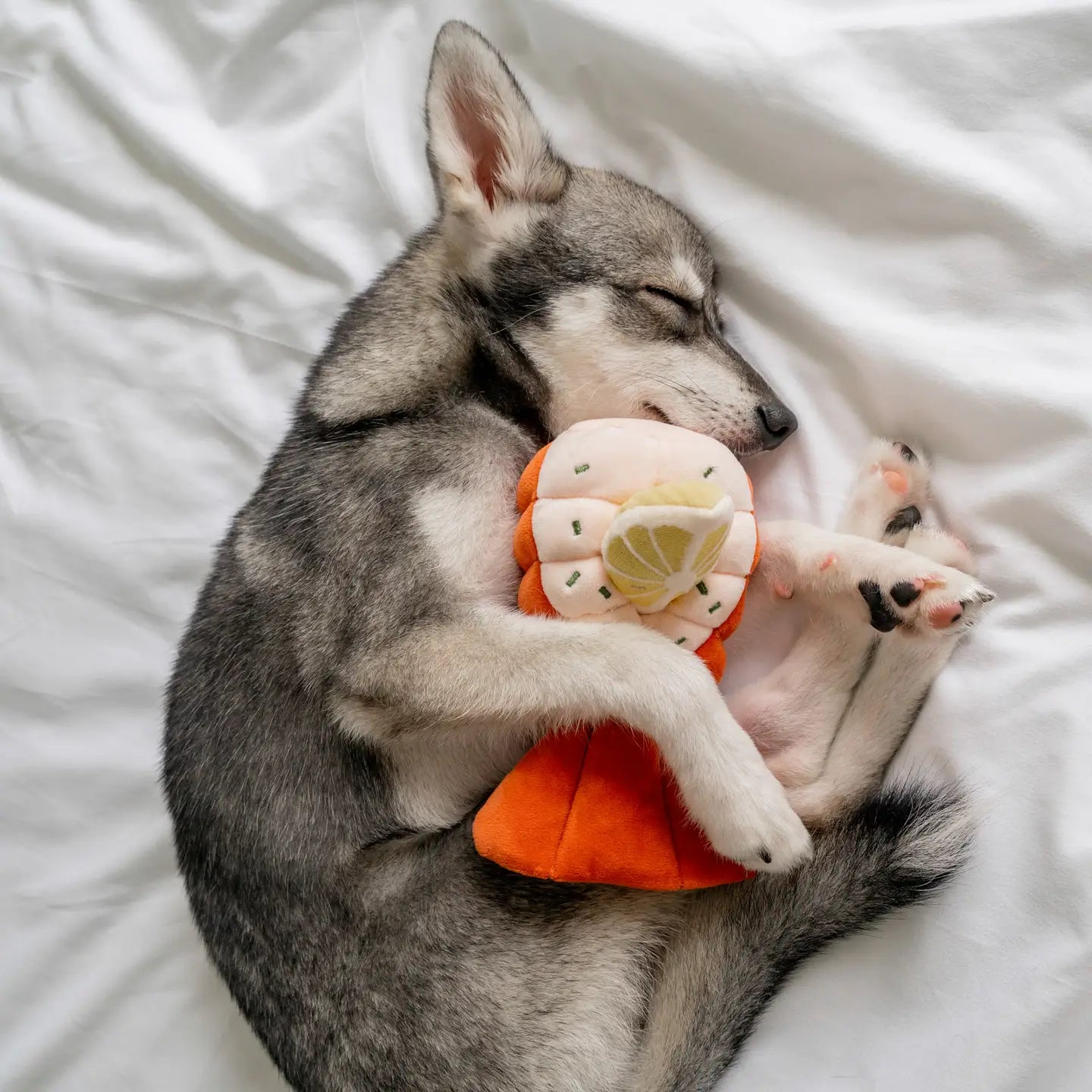 pups & bubs lobster enrichment toy