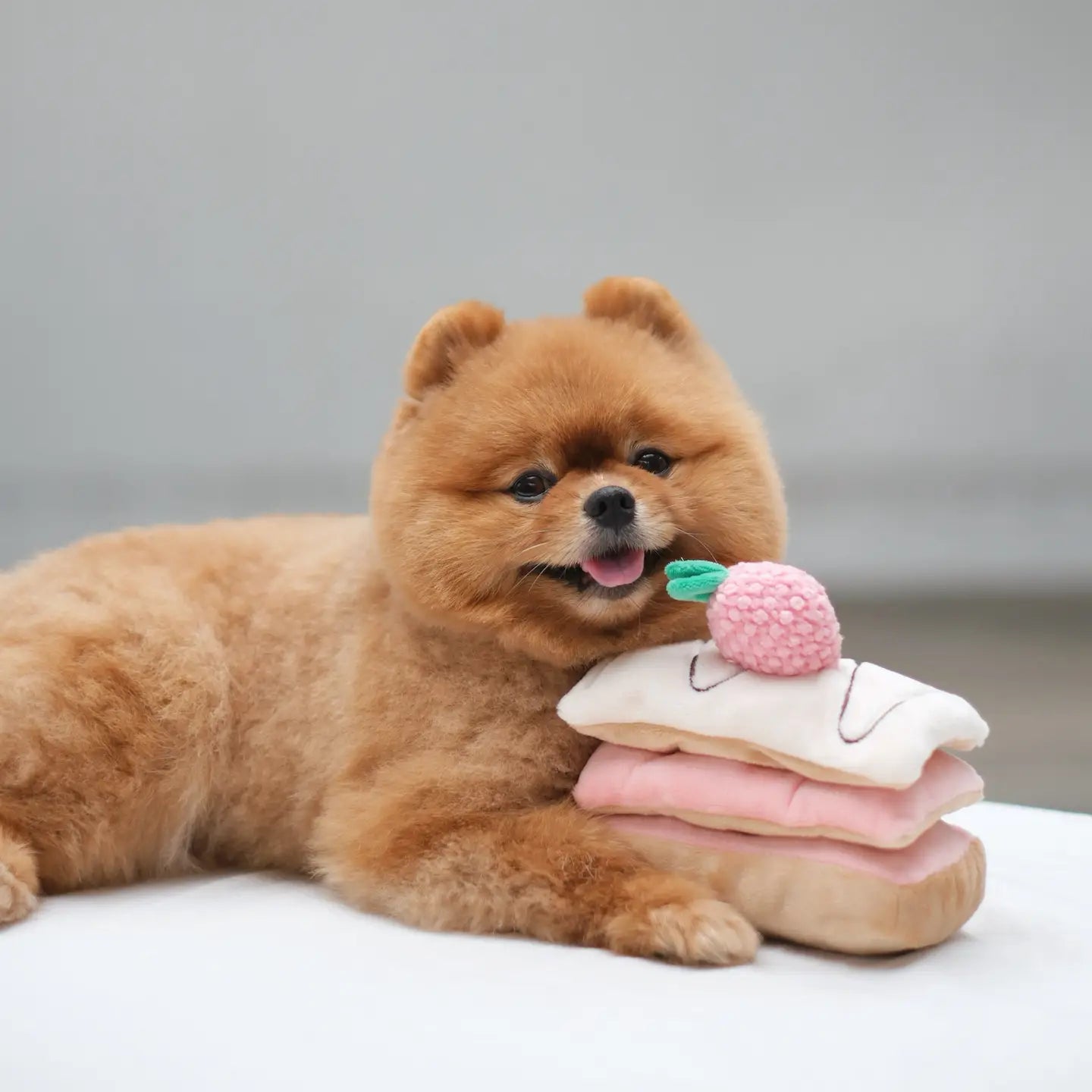 pups & bubs souffle enrichment