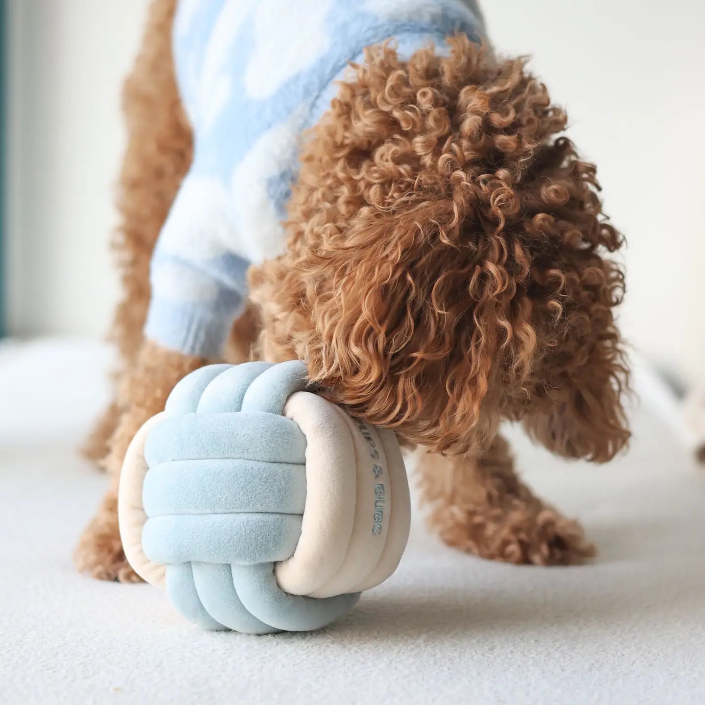 pupsbubs enrichment toy ball