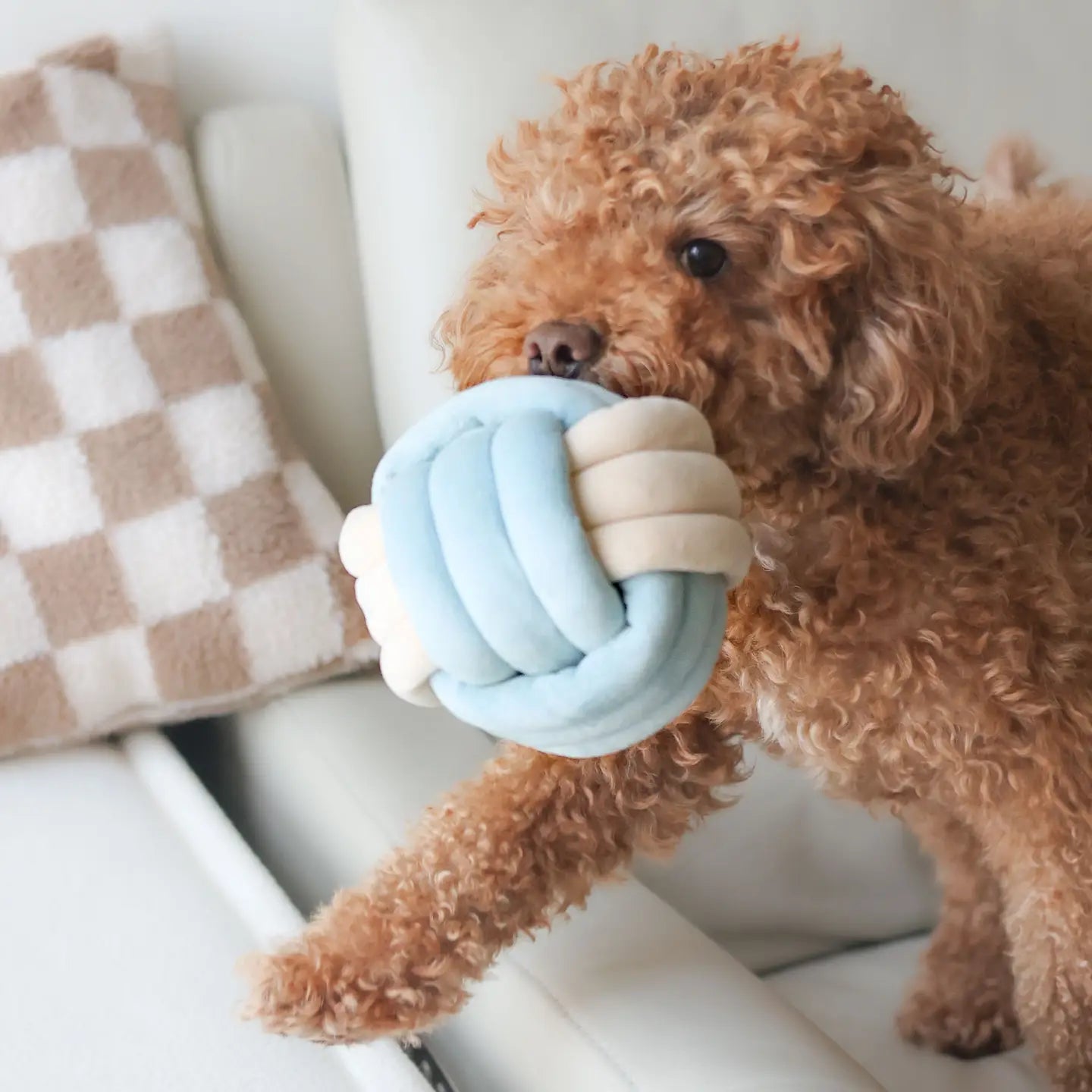 pupsbubs enrichment toy
