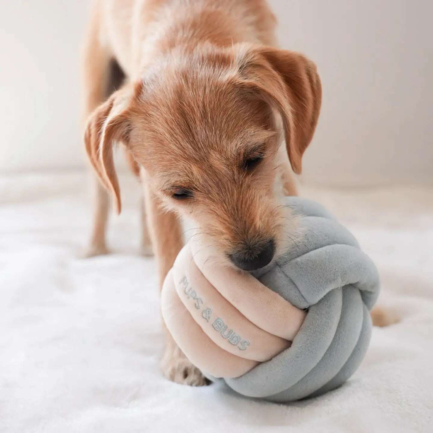 pupsbubs enrichment toy