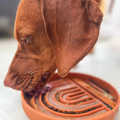 slowfeeder hond rainbow