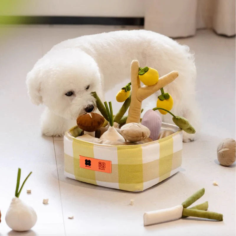 snuffelspeelgoed hond intelligentie