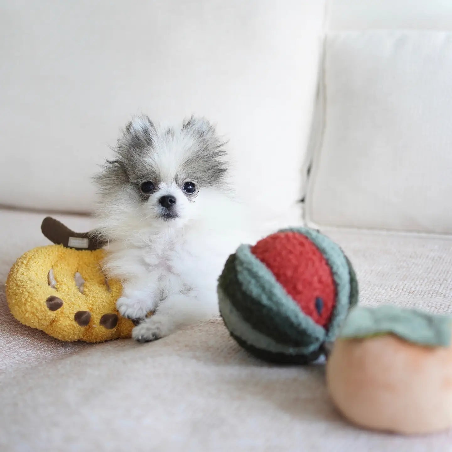snuffelspeelgoed hond