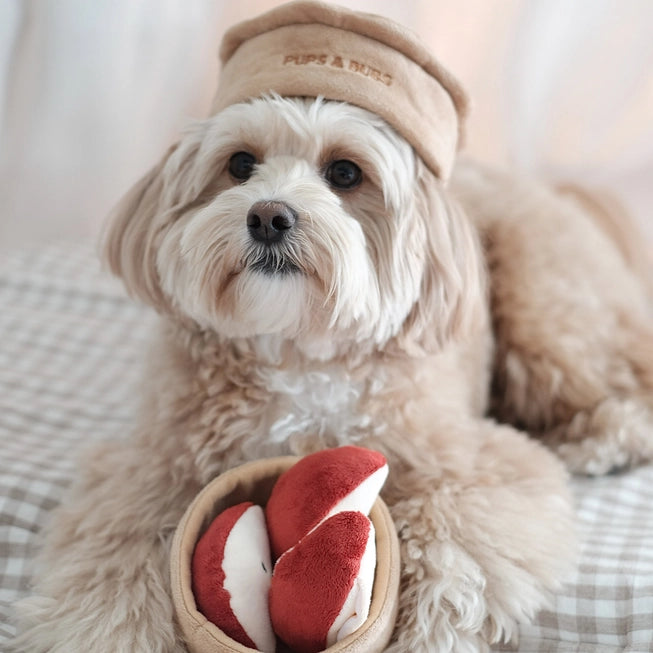 snuffelspeelgoed hond intelligentiespel